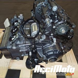 Moteur YAMAHA MT-09 TRACER