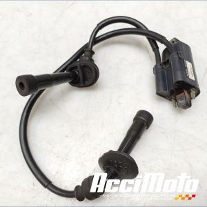 Bobine d'allumage (1/4) SUZUKI BANDIT GSF600S