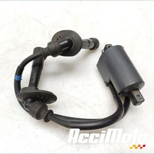 Bobine d'allumage (2/3) SUZUKI BANDIT GSF600S