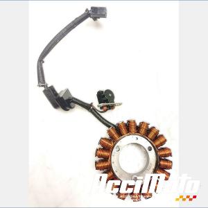 Stator d'alternateur SUZUKI BANDIT GSF650N