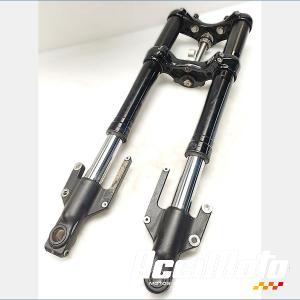 Fourche complète HARLEY DAVIDSON SPORTSTER XL1200CX ROADSTER