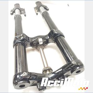 Fourche complète HARLEY DAVIDSON SPORTSTER XL1200CX ROADSTER