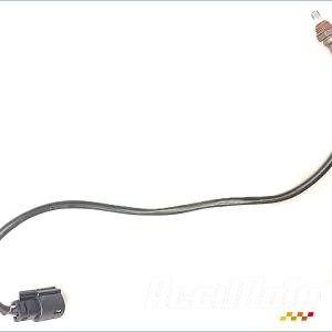 Sonde lambda HARLEY DAVIDSON SPORTSTER XL1200CX ROADSTER