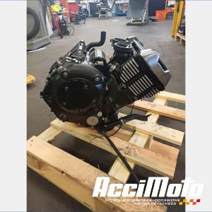 Moteur KAWASAKI VULCAN EN650S