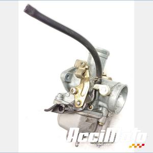 Carburateur DAELIM DAYSTAR VL125