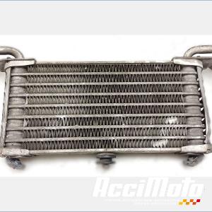 Radiateur d'huile BMW S1000 XR