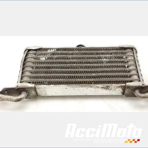 Radiateur d'huile BMW S1000 XR