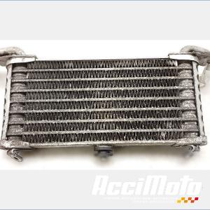Radiateur d'huile BMW S1000 XR