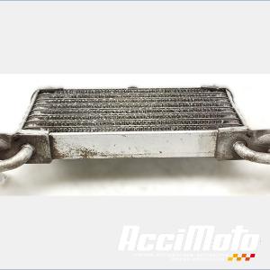 Radiateur d'huile BMW S1000 XR