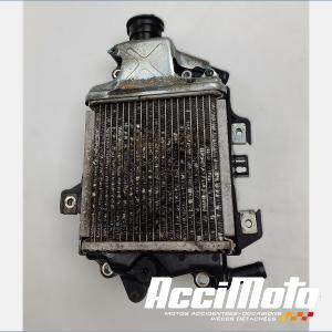 Radiateur de refroidissement HONDA FORZA NSS125