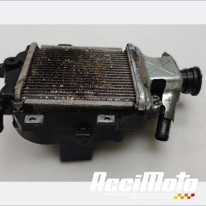 Radiateur de refroidissement HONDA FORZA NSS125