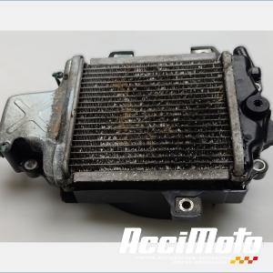 Radiateur de refroidissement HONDA FORZA NSS125