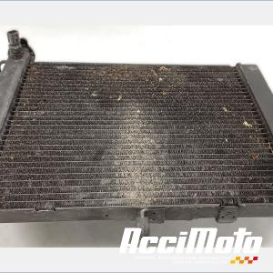Radiateur de refroidissement YAMAHA R1 YZF1000