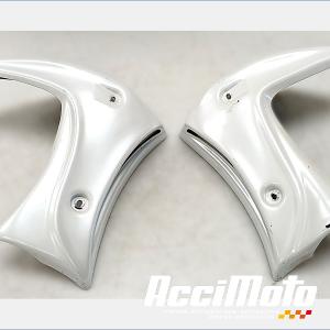 écope de radiateur (la paire) YAMAHA FZ8 N
