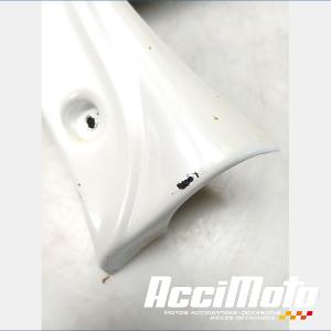 écope de radiateur (la paire) YAMAHA FZ8 N