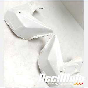 écope de radiateur (la paire) YAMAHA FZ8 N