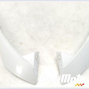 Tête de fourche YAMAHA FZ8 N