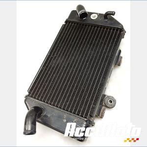 RADIATEUR REFROIDISSEMENT G HONDA TRANSALP XL700V