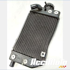 RADIATEUR REFROIDISSEMENT D HONDA TRANSALP XL700V