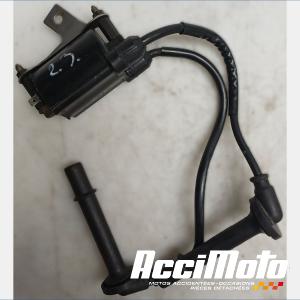 Bobine d'allumage (2/3) HONDA CBR1100XX