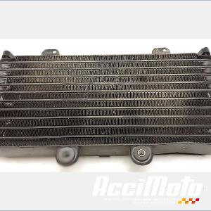 Radiateur d'huile SUZUKI BANDIT GSF1200S