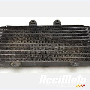 Radiateur d'huile SUZUKI BANDIT GSF1200S