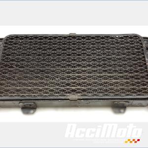 Radiateur d'huile SUZUKI BANDIT GSF1200S