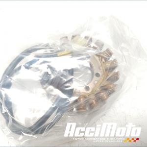 Stator d'alternateur HONDA HORNET CB600F