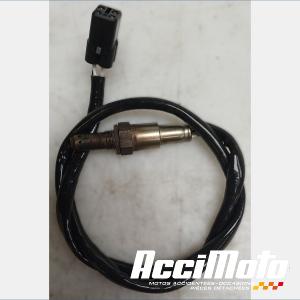 Sonde lambda YAMAHA XJ6N