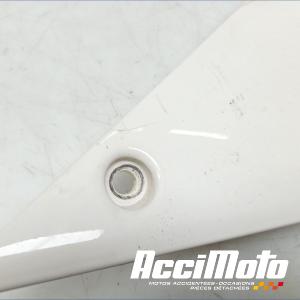 Coque arrière (gauche) TRIUMPH SPEED TRIPLE 1050 