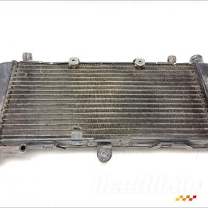 Radiateur de refroidissement HONDA HORNET CB600F