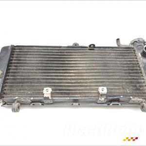 Radiateur de refroidissement HONDA HORNET CB600F