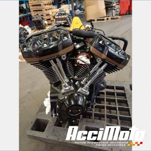 Moteur HARLEY DAVIDSON ROAD GLIDE FLTRXST