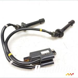Bobine d'allumage (1/4) YAMAHA FZ6 S FAZER