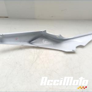 Coque arrière (gauche) KAWASAKI Z 650