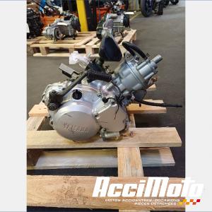 Moteur YAMAHA DTR 125