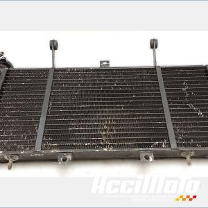 Radiateur de refroidissement TRIUMPH SPRINT 955I RS