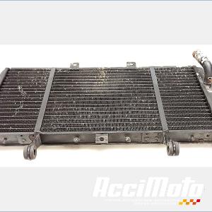 Radiateur de refroidissement TRIUMPH SPRINT 955I RS