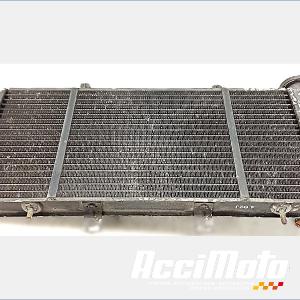 Radiateur de refroidissement TRIUMPH SPRINT 955I RS