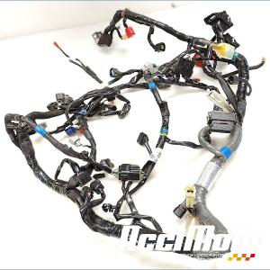 Faisceau électrique (principal) SUZUKI V-STROM DL1050 DE