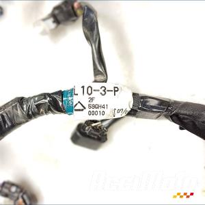 Faisceau électrique (principal) SUZUKI V-STROM DL1050 DE