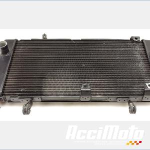 Radiateur de refroidissement SUZUKI V-STROM DL1050 DE