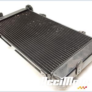 Radiateur de refroidissement SUZUKI V-STROM DL1050 DE