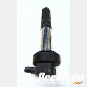 Bobine crayon BMW S1000 R
