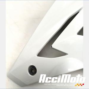 écope de radiateur (droit) BMW S1000 R