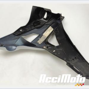écope de radiateur (gauche) BMW S1000 R