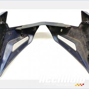 Sabot BMW S1000 R