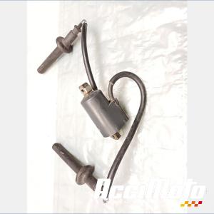 Bobine d'allumage (1/4) YAMAHA FAZER FZS1000