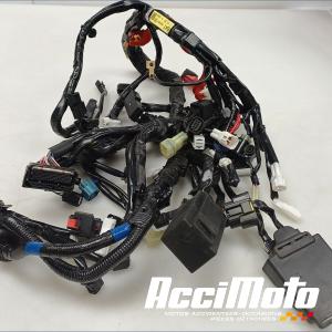 Faisceau électrique (principal) YAMAHA MT-07