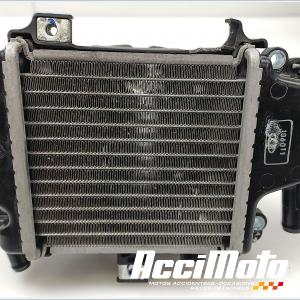 Radiateur de refroidissement HONDA PCX125